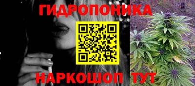 прущая мука Ачхой-Мартан