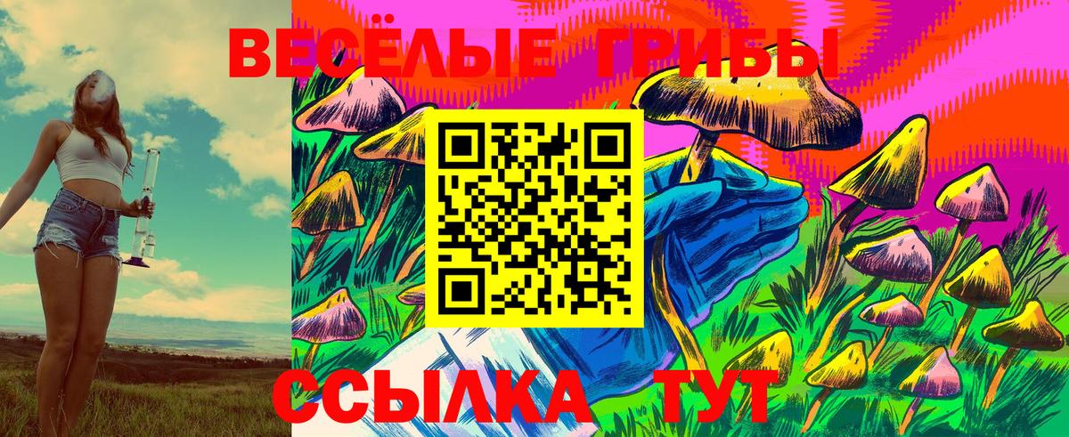 Вольск  Псилоцибиновые грибы прущие грибы  Вход с VPN 