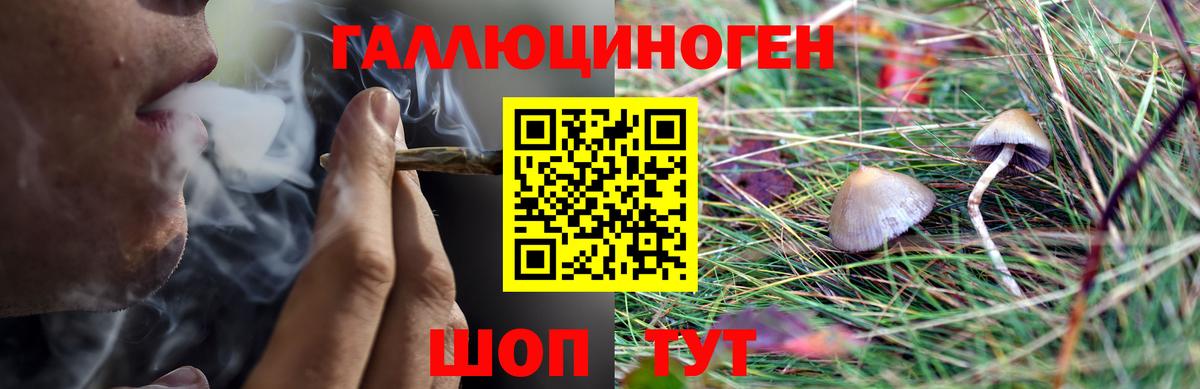 Галлюциногенные грибы Magic Shrooms Вольск